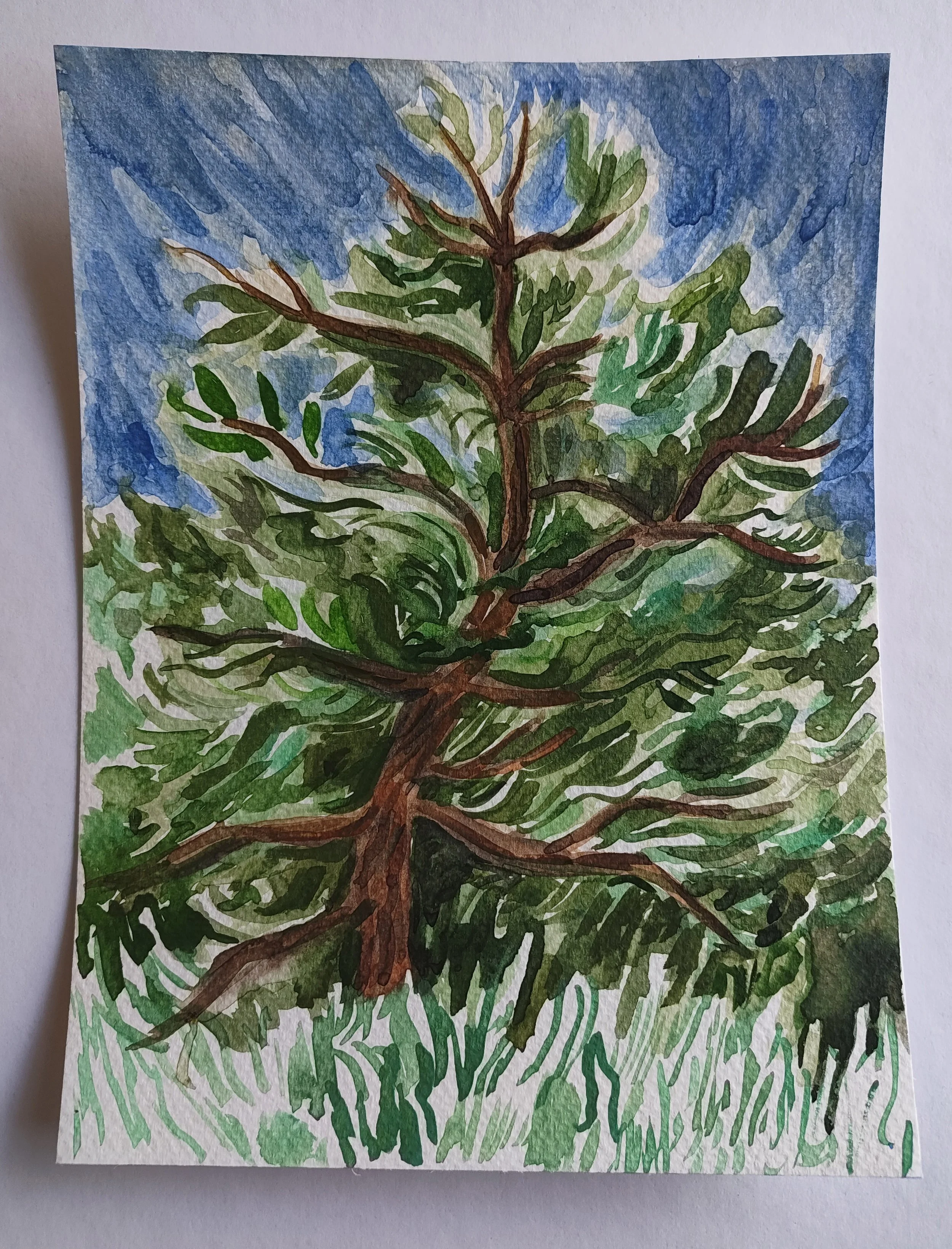 19_Trees.jpg