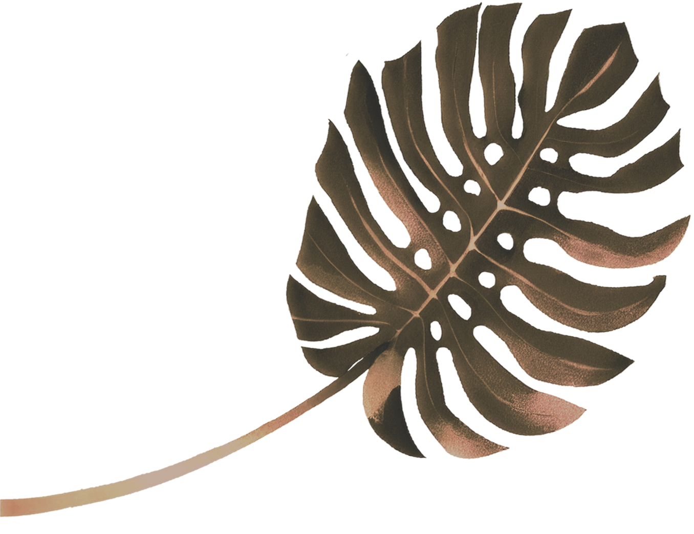 A large beige Monstera leaf with multiple natural holes, isolated on a transparent background.