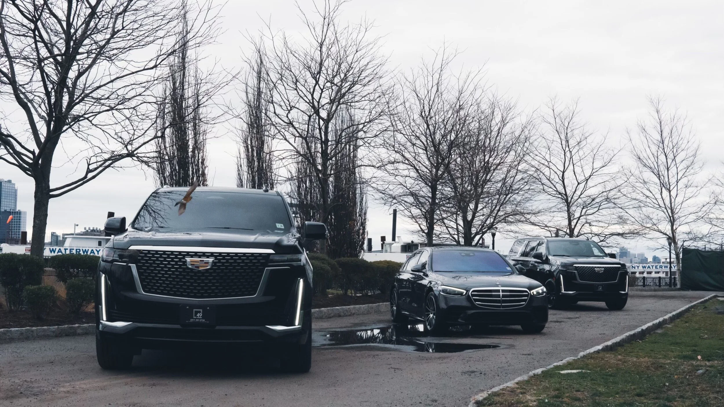 Multiple cars parked in a parking lot with leafless trees in the background and a cloudy sky.