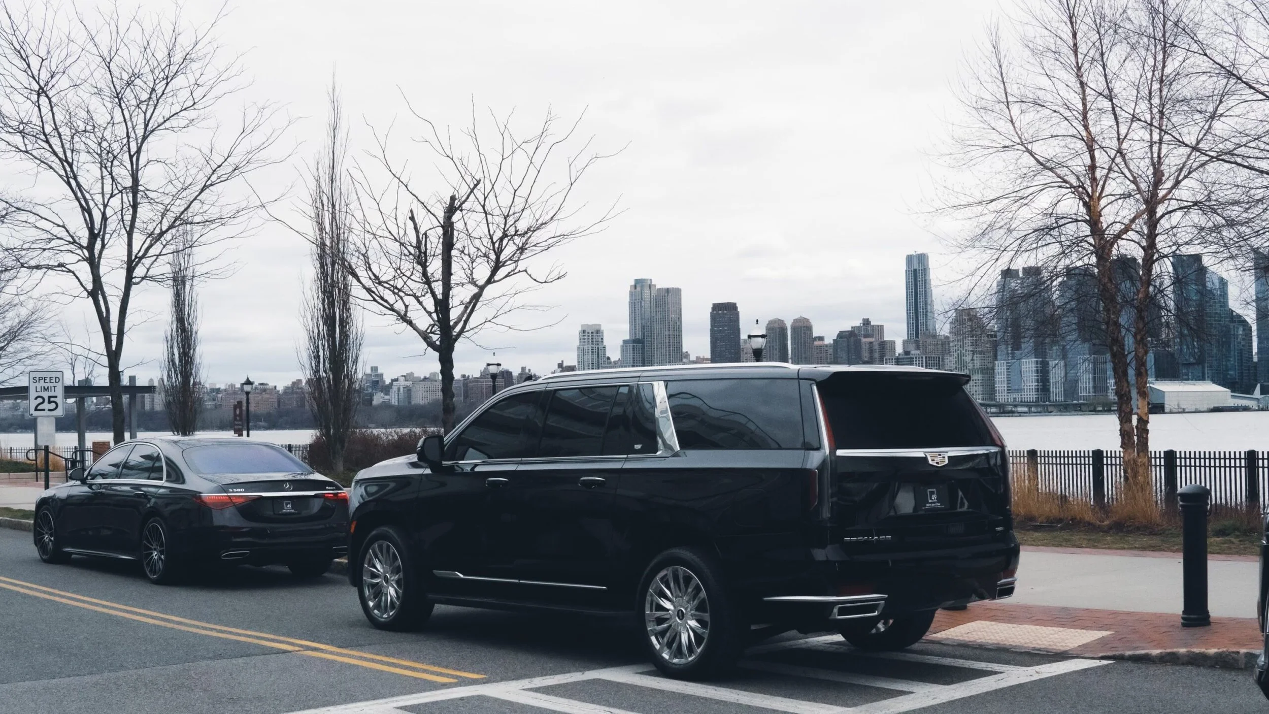 Parked cars near the waterfront skyline with leafless trees and a river, muted sky.