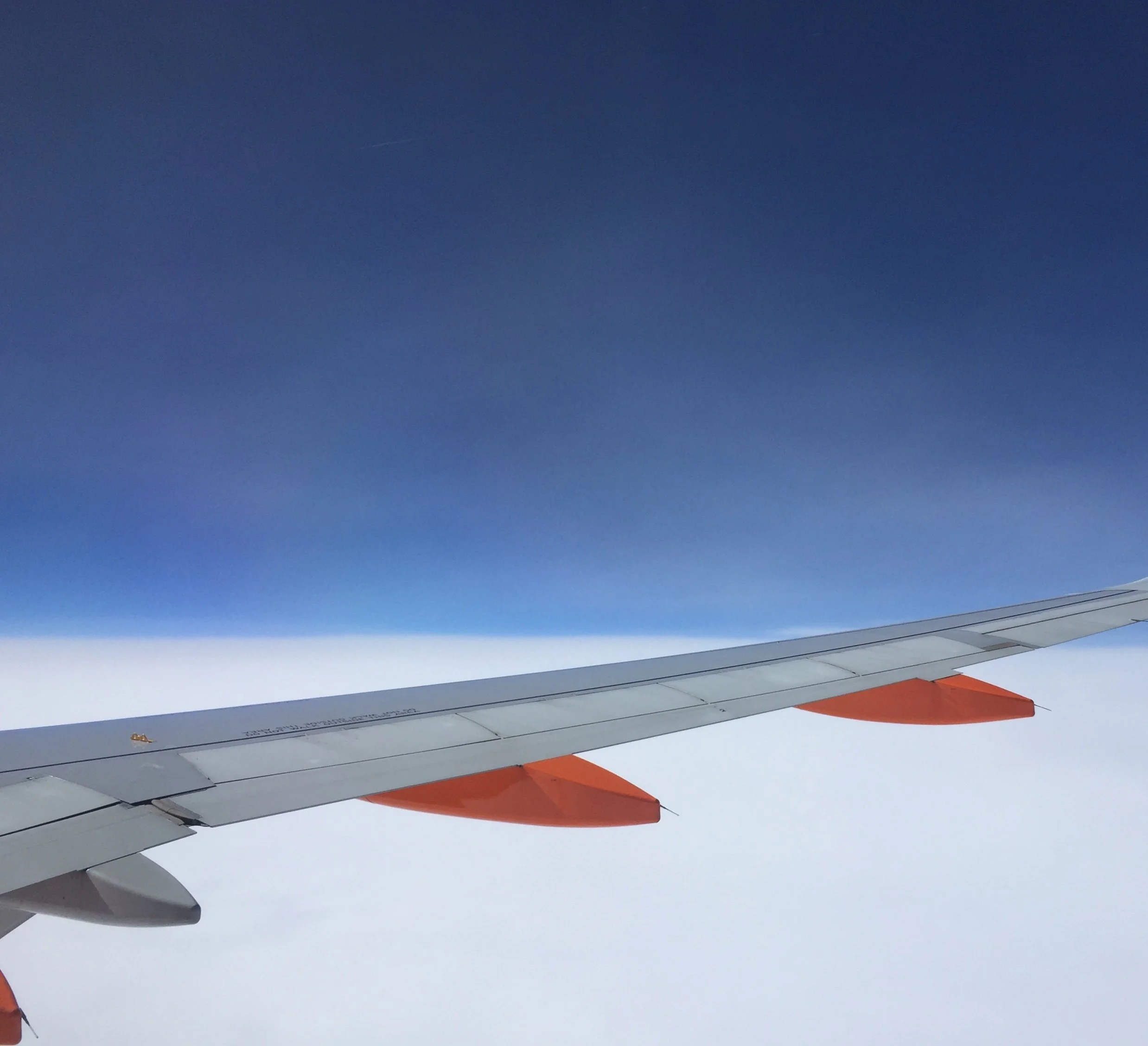 aeroplane wing