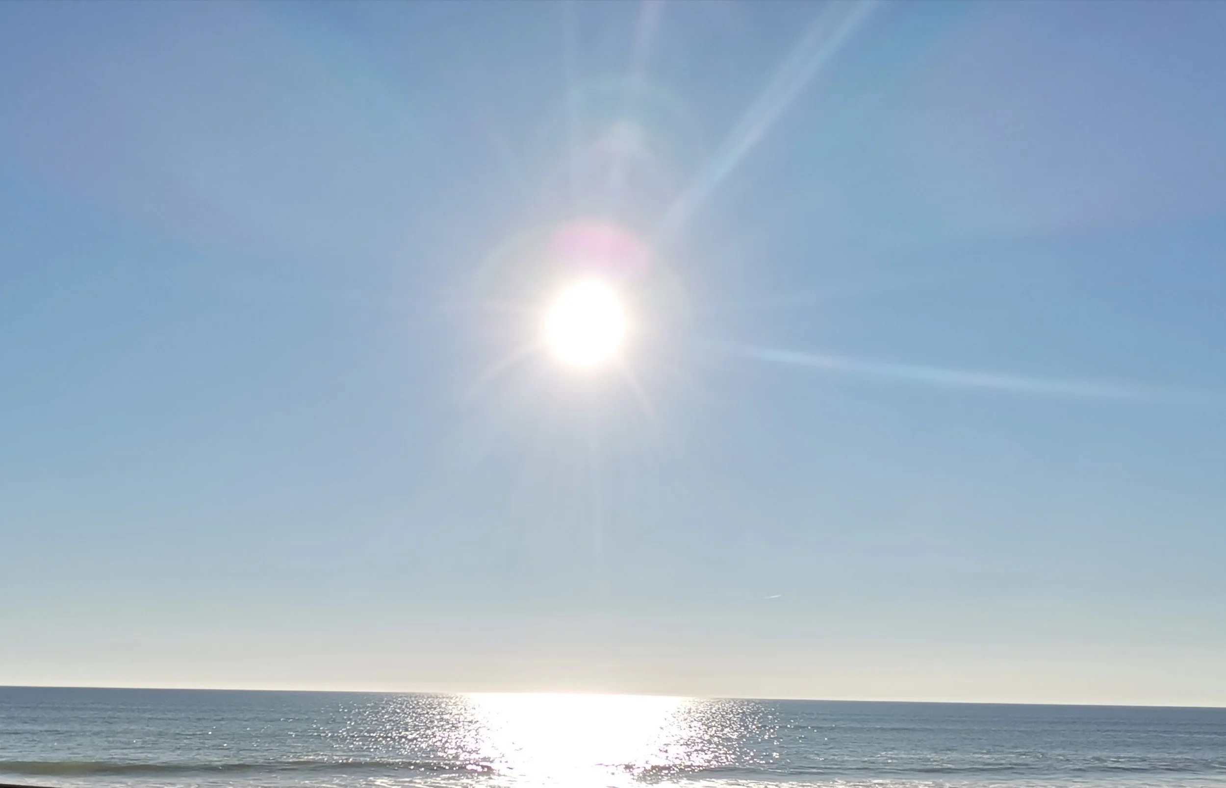 Sunny day