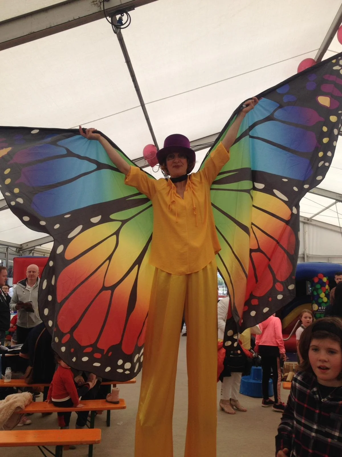butterflies.jpg