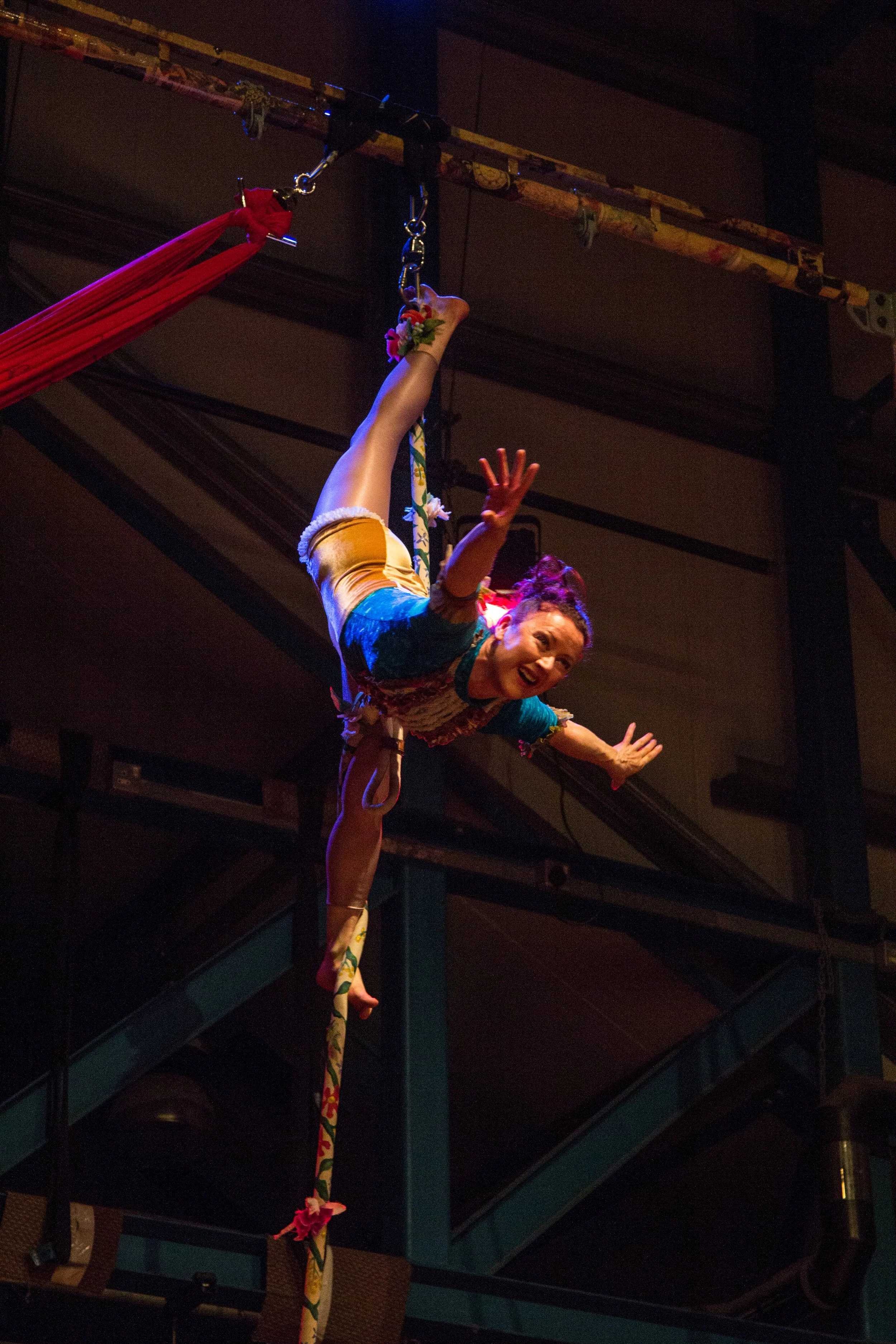 Aerial Silks (1).jpg