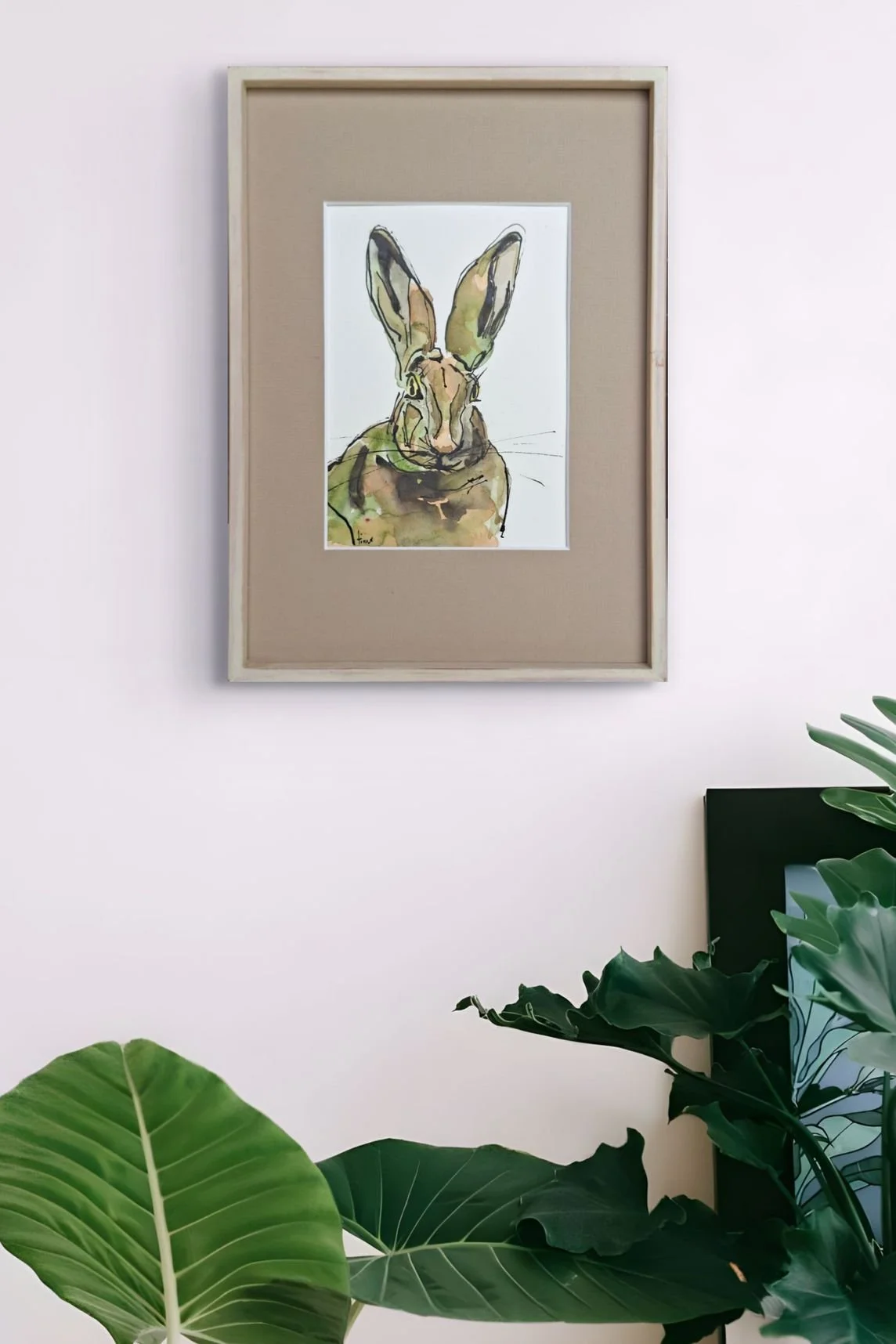 Rabbit or Hare?