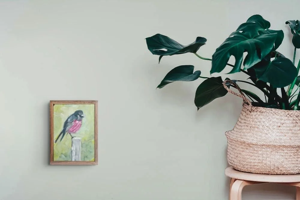 Pink breasted cute bird