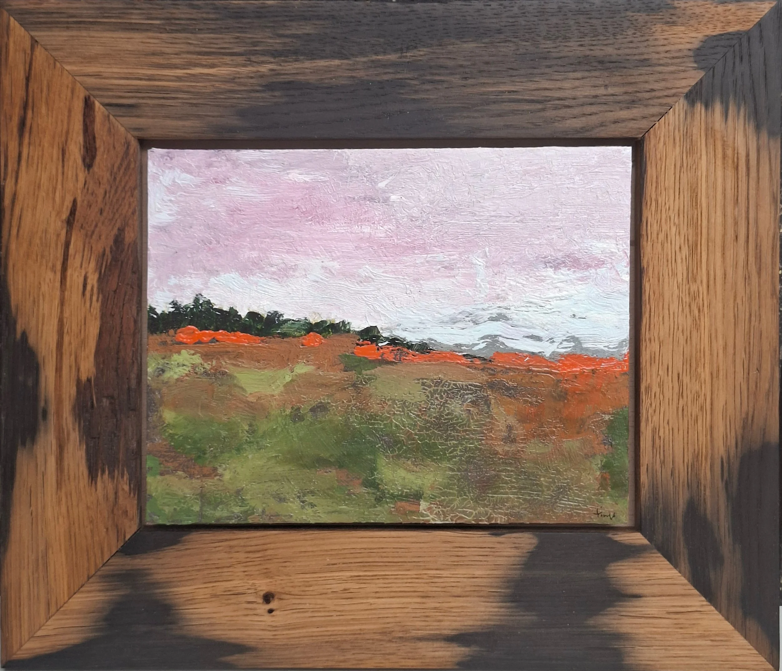 Landscape with orange treeline