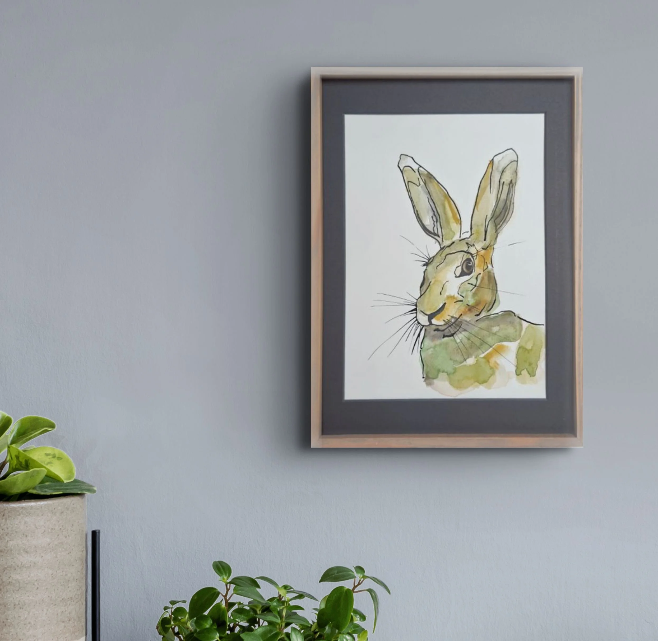 Hare or rabbit?
