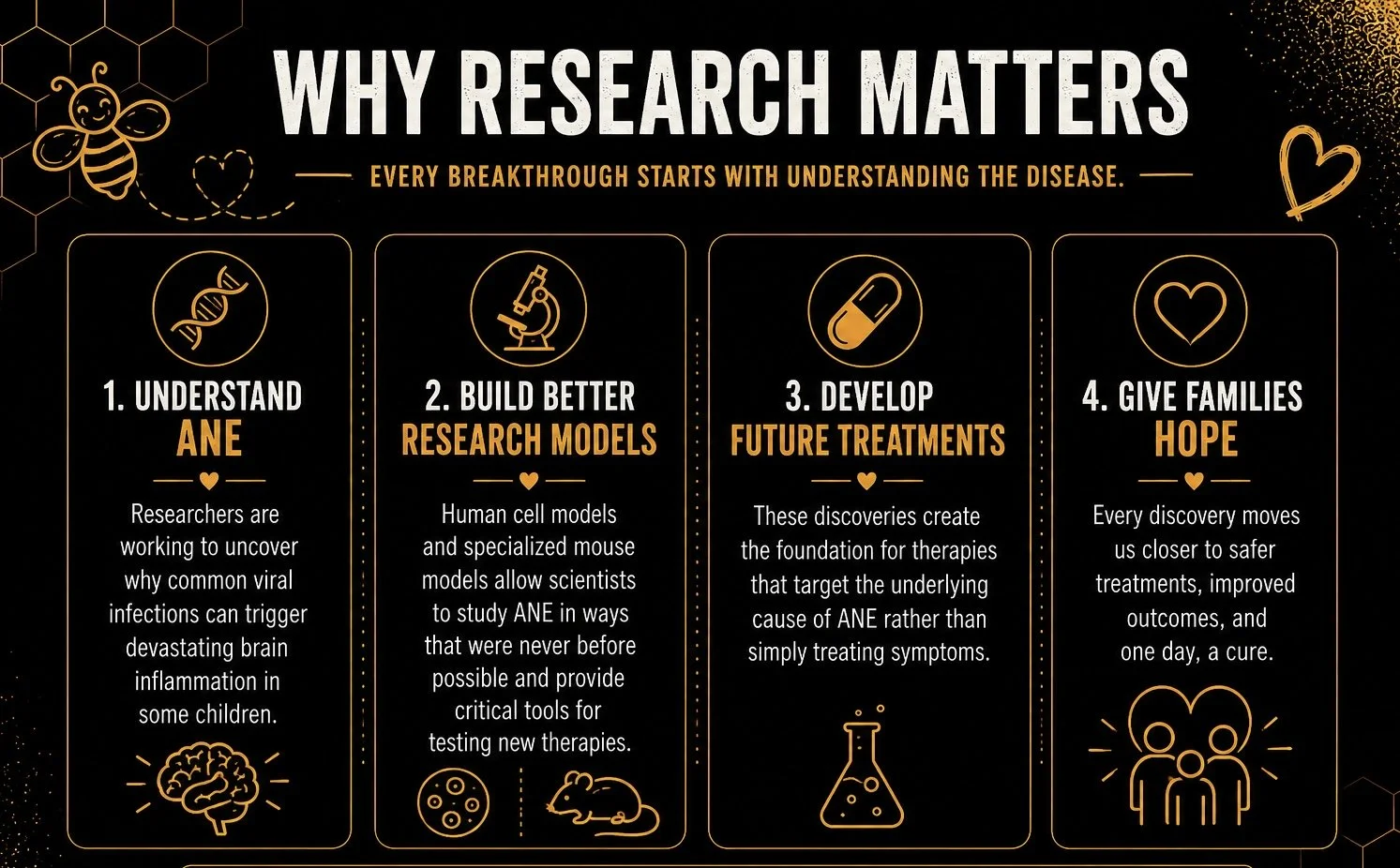 Infographic titled 'Why Research Matters' with four sections. 1. Understand ANE with a brain illustration, explaining researchers uncover how viral infections can cause brain inflammation in children. 2. Build Better Research Models with molecule, mouse, and pet illustrations, highlighting the development of human cell models and mouse models for studying ANE. 3. Develop Future Treatments with a laboratory flask illustration, emphasizing creating therapies targeting the underlying cause of ANE. 4. Give Families Hope with a family illustration, stating discoveries bring us closer to safer treatments and cures.
