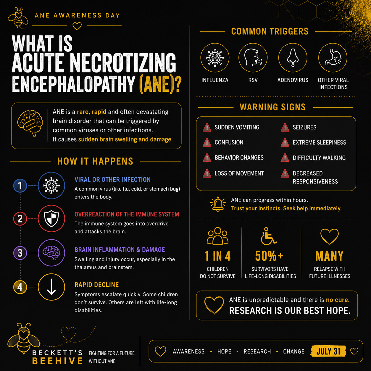 An infographic about Acute Necrotizing Encephalopathy (ANE), its causes, symptoms, and warning signs, with illustrations of virus icons, a brain, and icons representing triggers and signs.