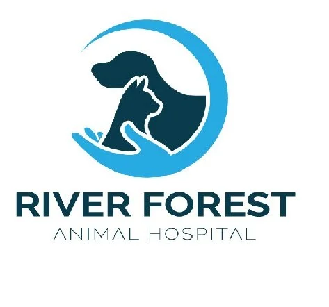 Logo of River Forest Animal Hospital featuring a silhouette of a dog and a cat inside a circular water-like shape.