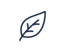 Line drawing of a leaf with veins