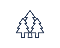 Outline of three pine trees with snow on the branches