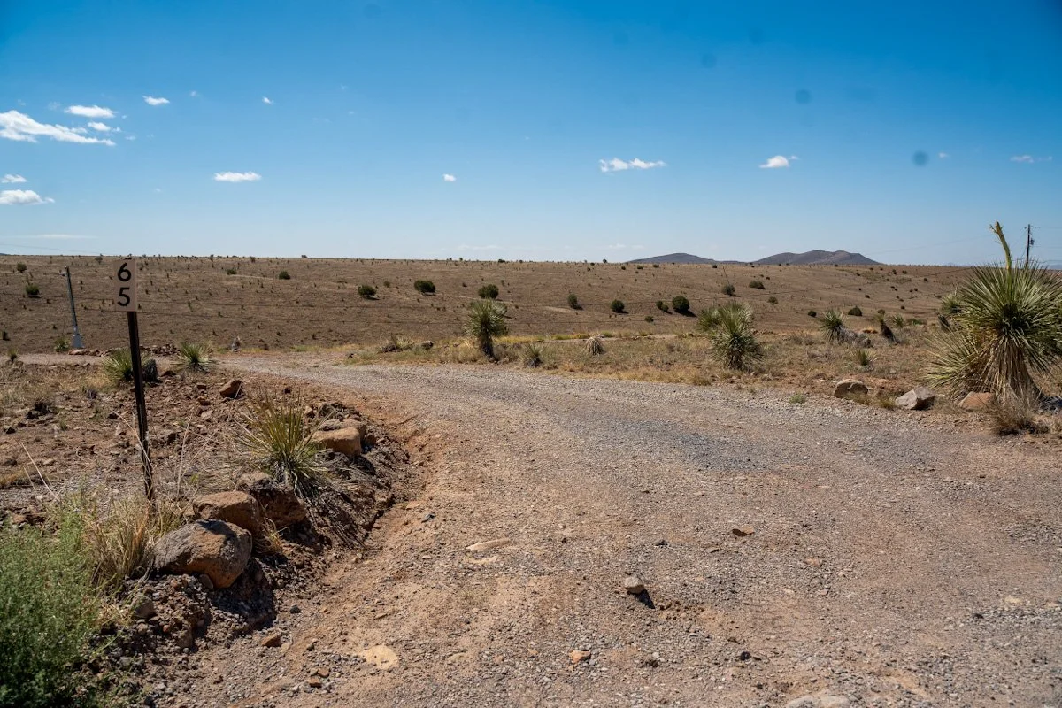 A dirt road running through an arid desert landscape with scattered desert plants and mountains in the distance under a clear blue sky.