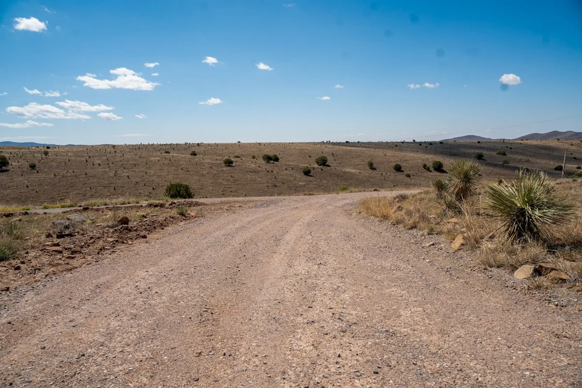 Dirt road winding through a desert landscape with sparse vegetation and a clear blue sky with a few clouds.