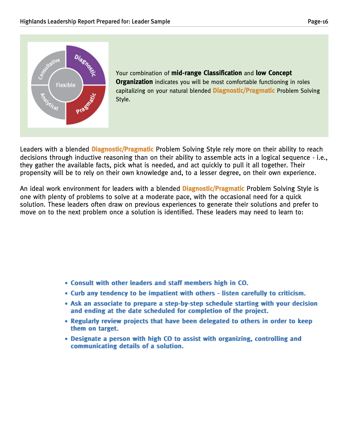 Page 16 of a leadership report with a circular diagram showing diagnostic, pragmatic, analytical, consultative, and flexible styles. The text discusses leaders' problem-solving styles, emphasizing a blend of diagnostic and pragmatic approaches, with 
