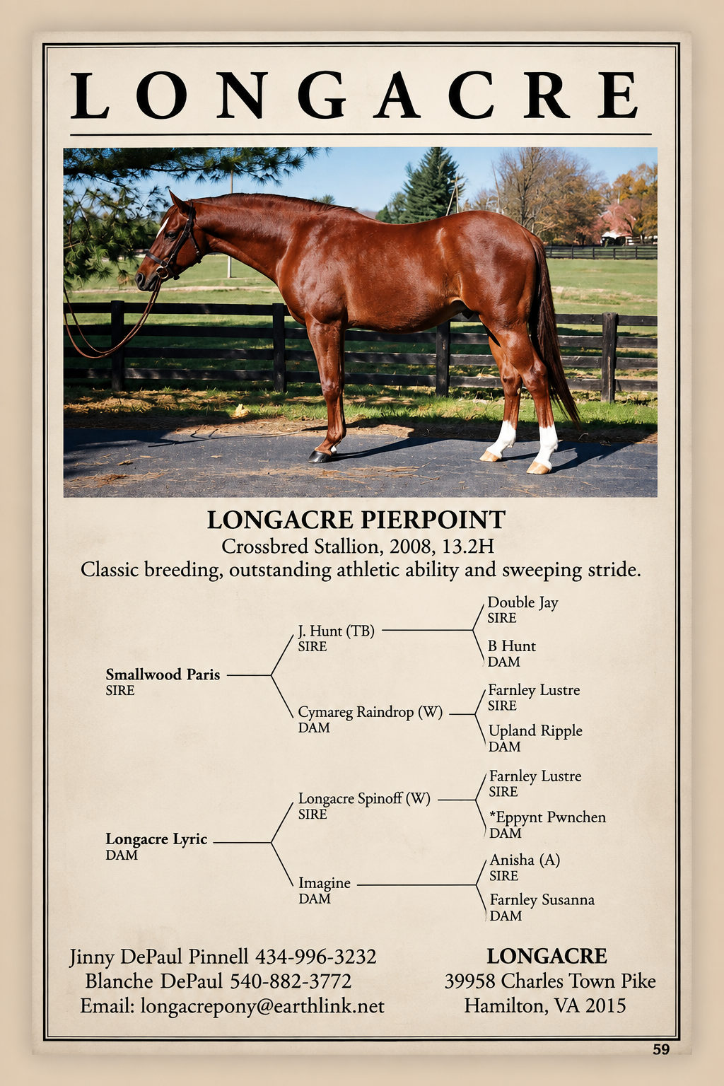 longacre pedigree tan.png