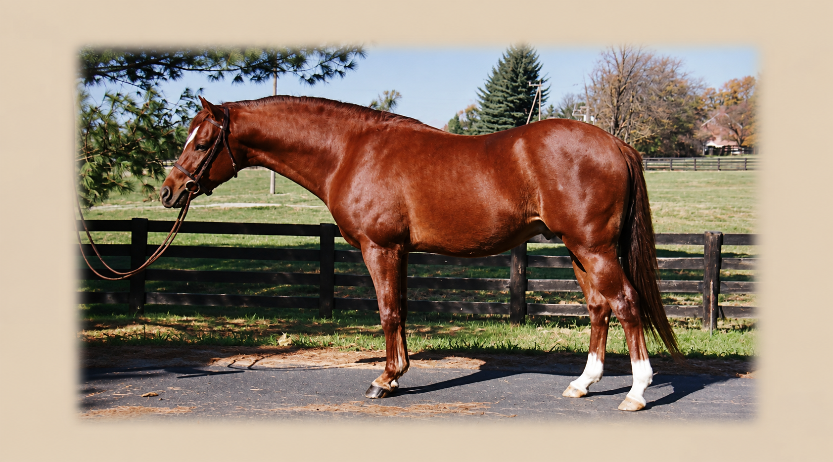 LongAcre Pierpoint