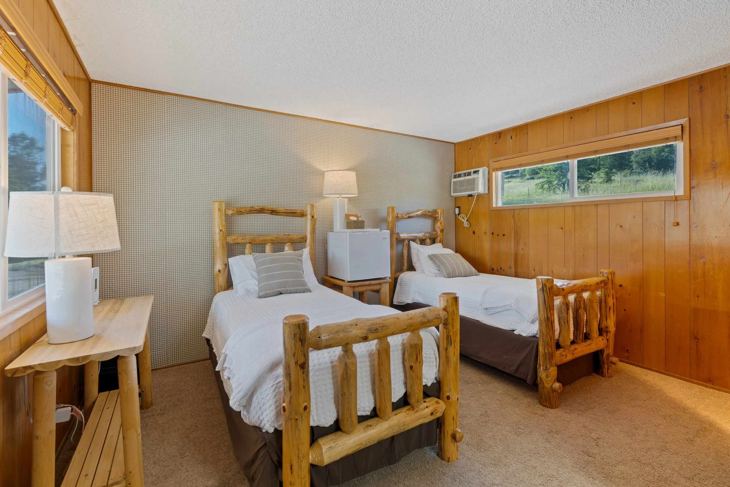 The Lakeview Motel Twin