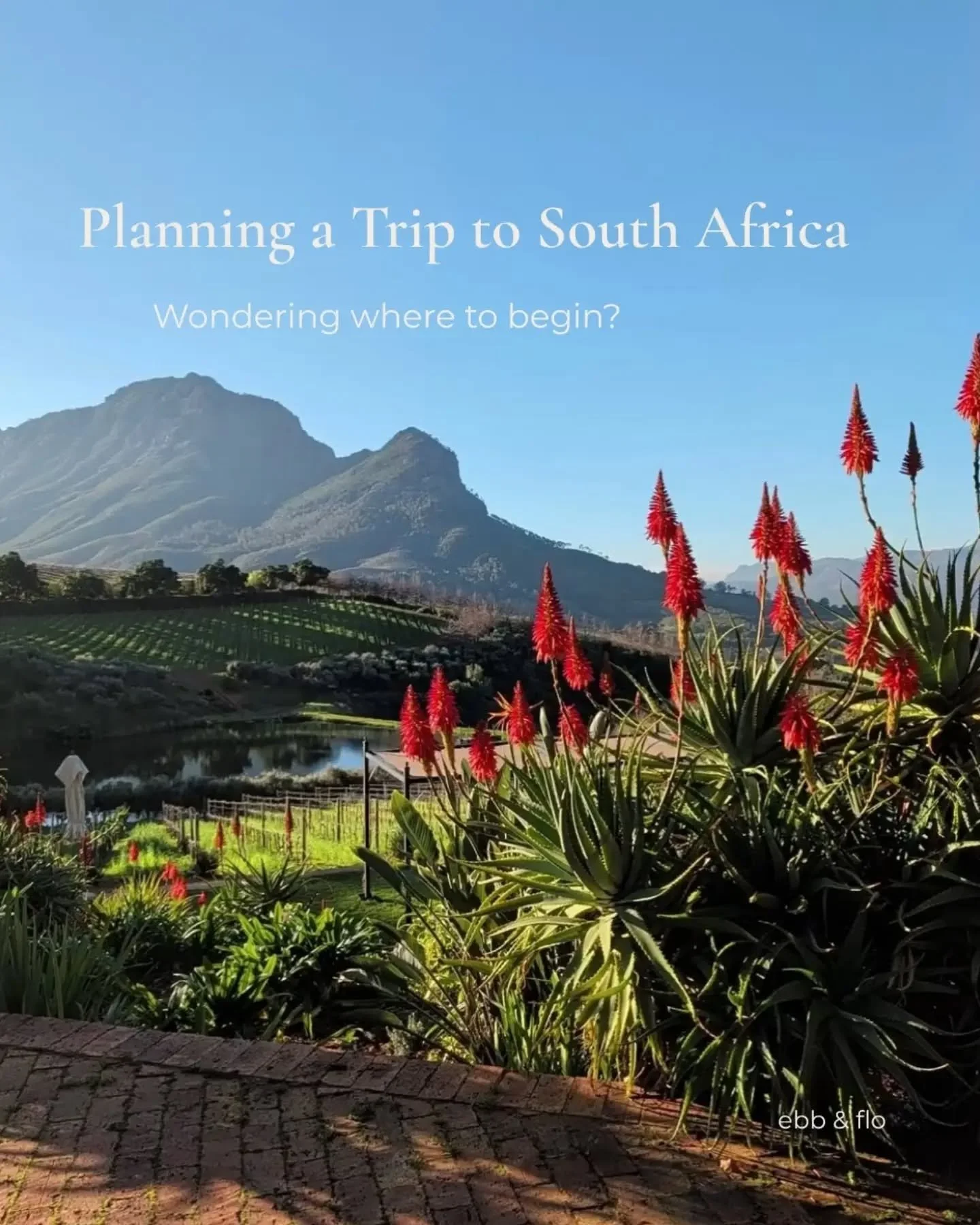 A trip to South Africa comes with a wonderful dilemma: there are simply too many amazing sights to see.

Bushveld, mountains, vineyards, desert, coast. The diversity is exactly what makes South Africa extraordinary. And what makes thoughtful planning