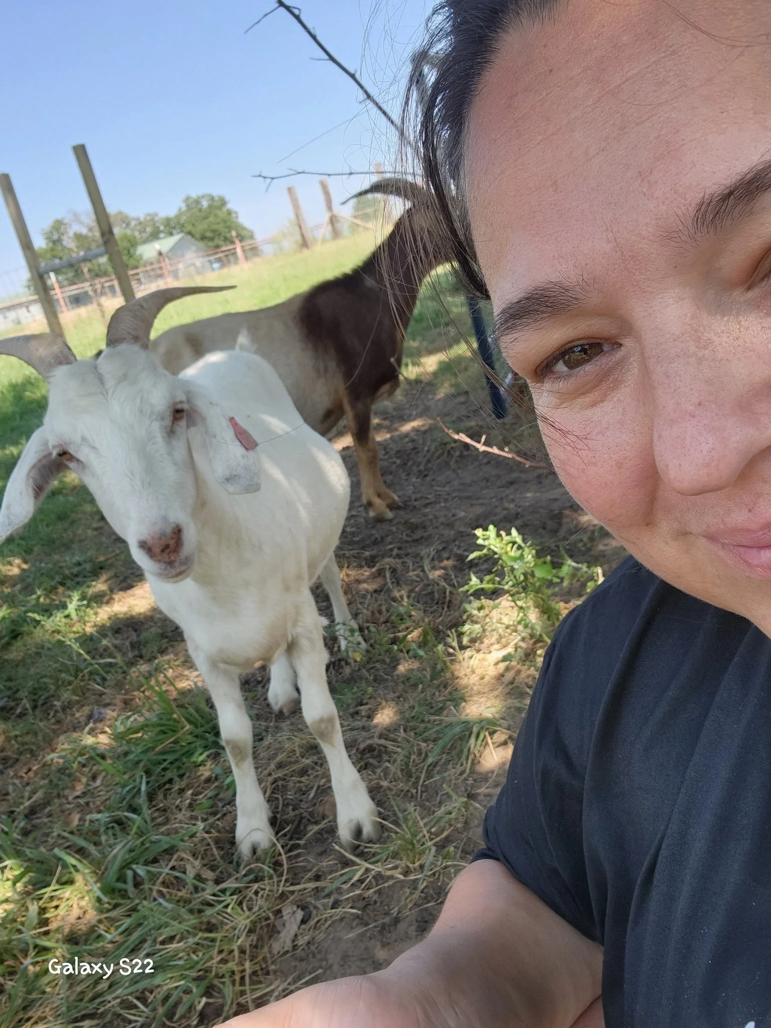 Close-up of a woman smiling, with two kiko goats in the background, outdoors on a sunny day. on the SpicerFamilyKiko Farm