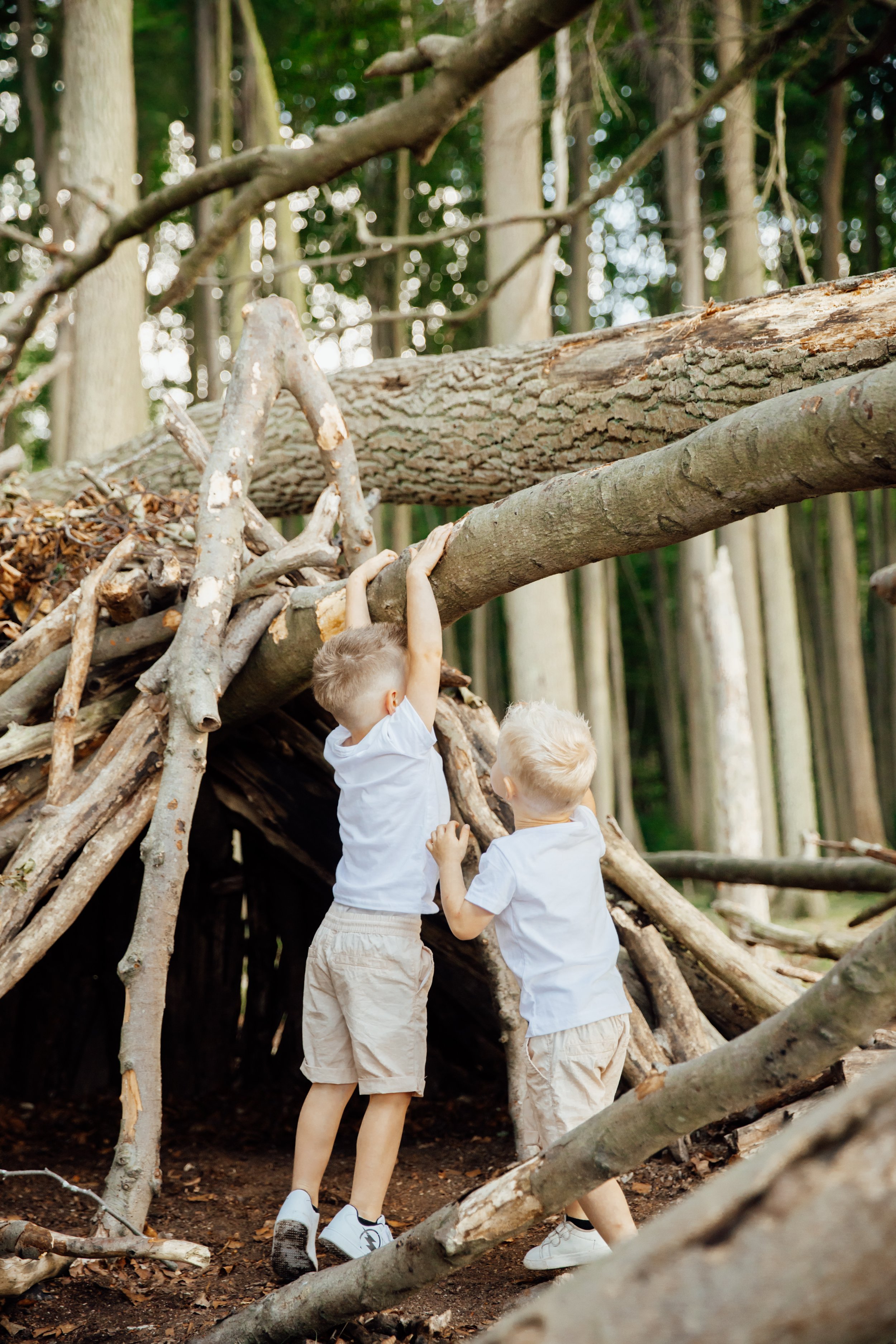 _MG_9514.jpeg