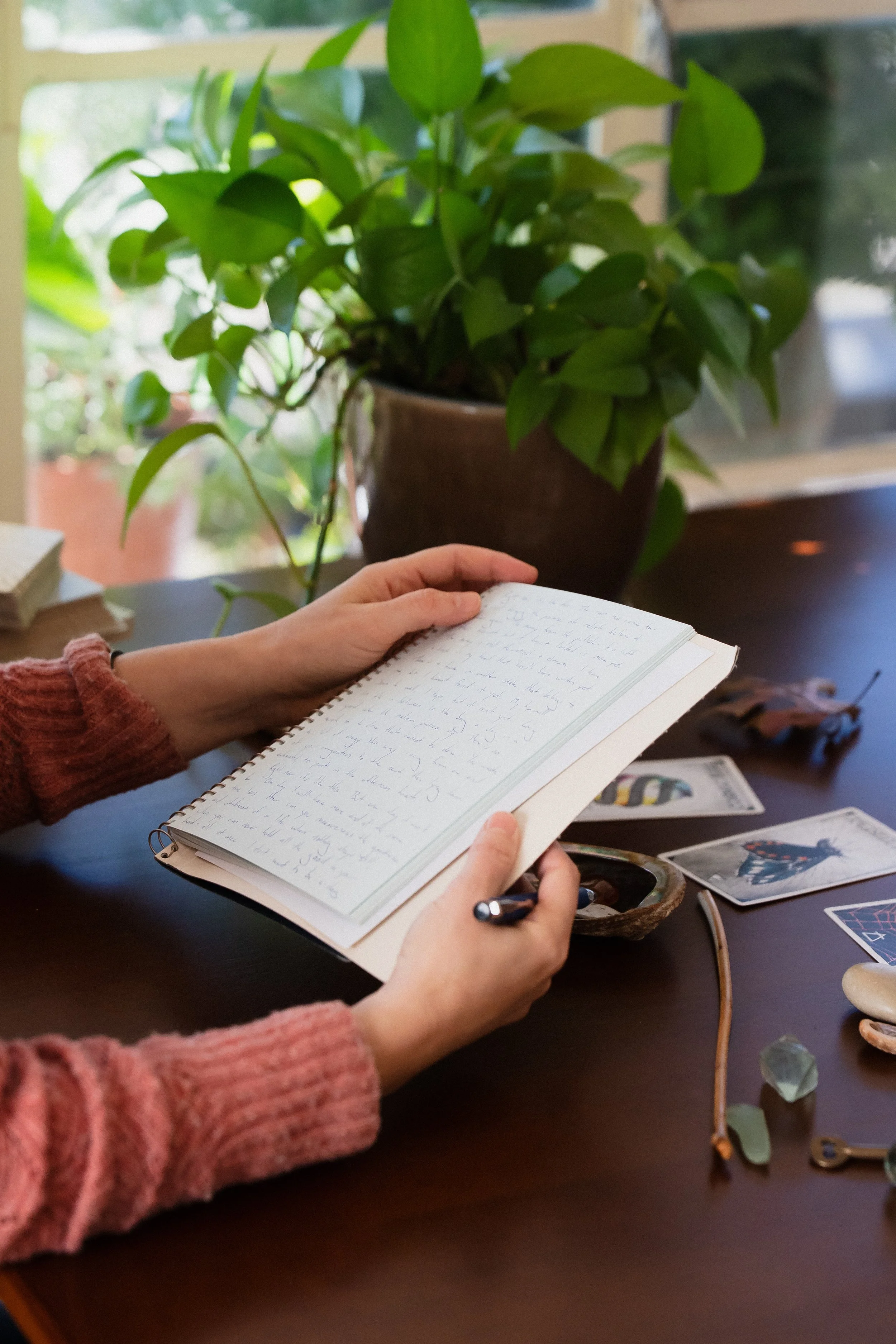 A person with a pink sweater holding an open notebook with handwritten notes, sitting at a dark wooden table with several tarot cards laid out, a small stone bowl, and some crystals. In the background, there is a large green potted plant on a windowsill.