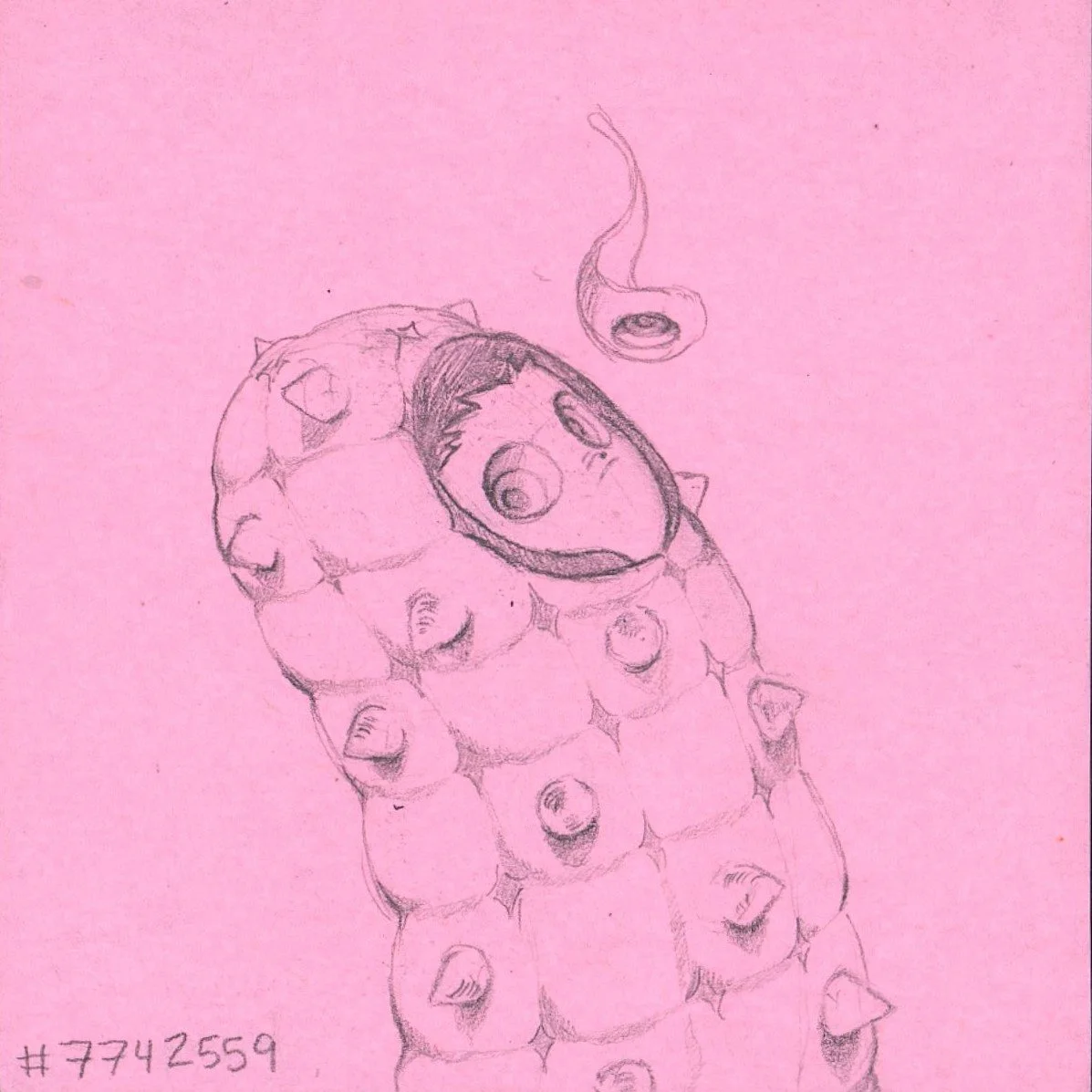 SELF 7742559.jpg