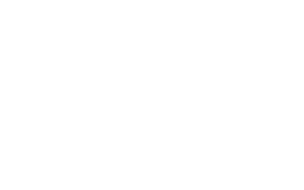 Wild Bridge Films