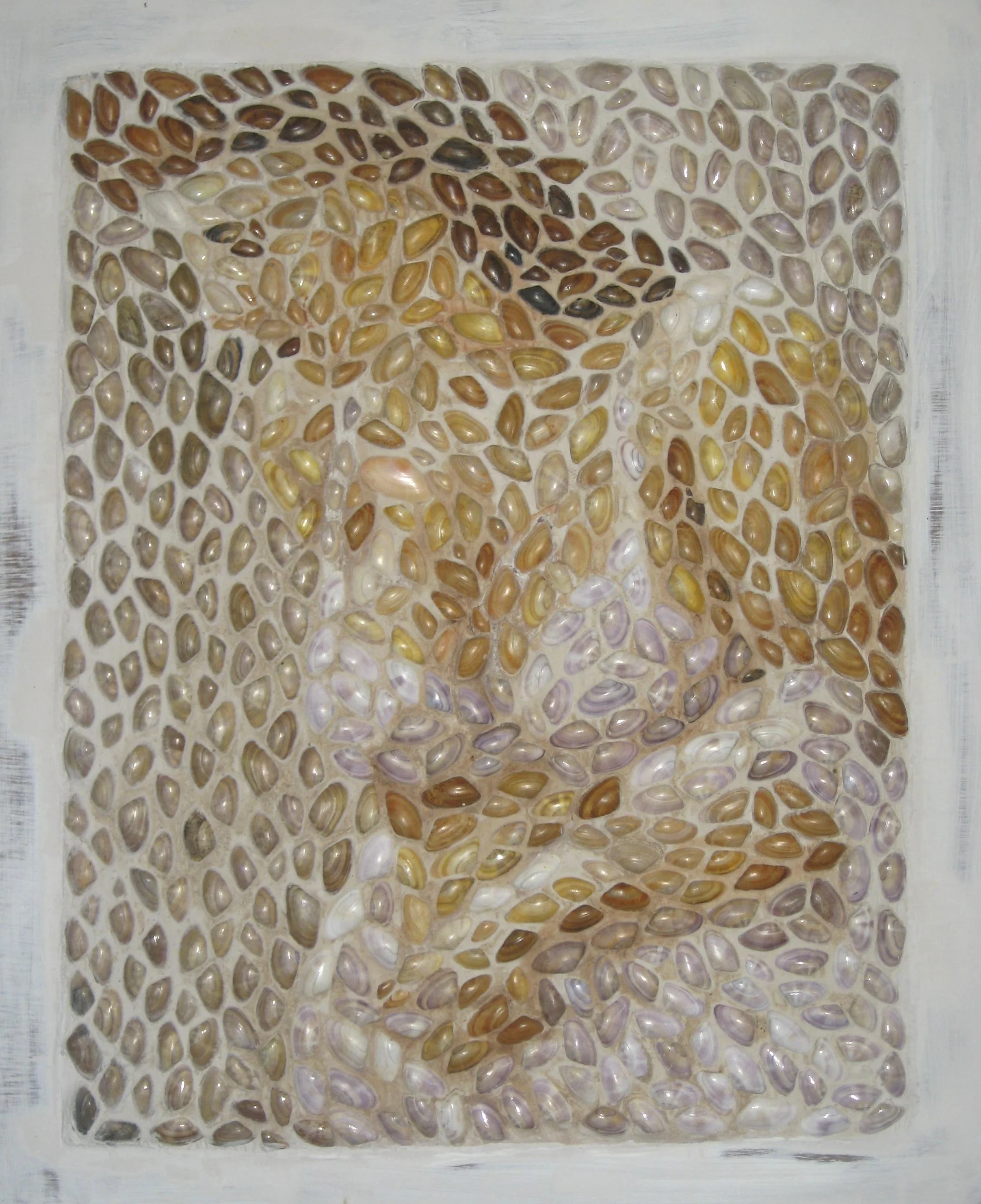 A decorative tiled wall with a pattern of various small shell pieces embedded in a white grout.