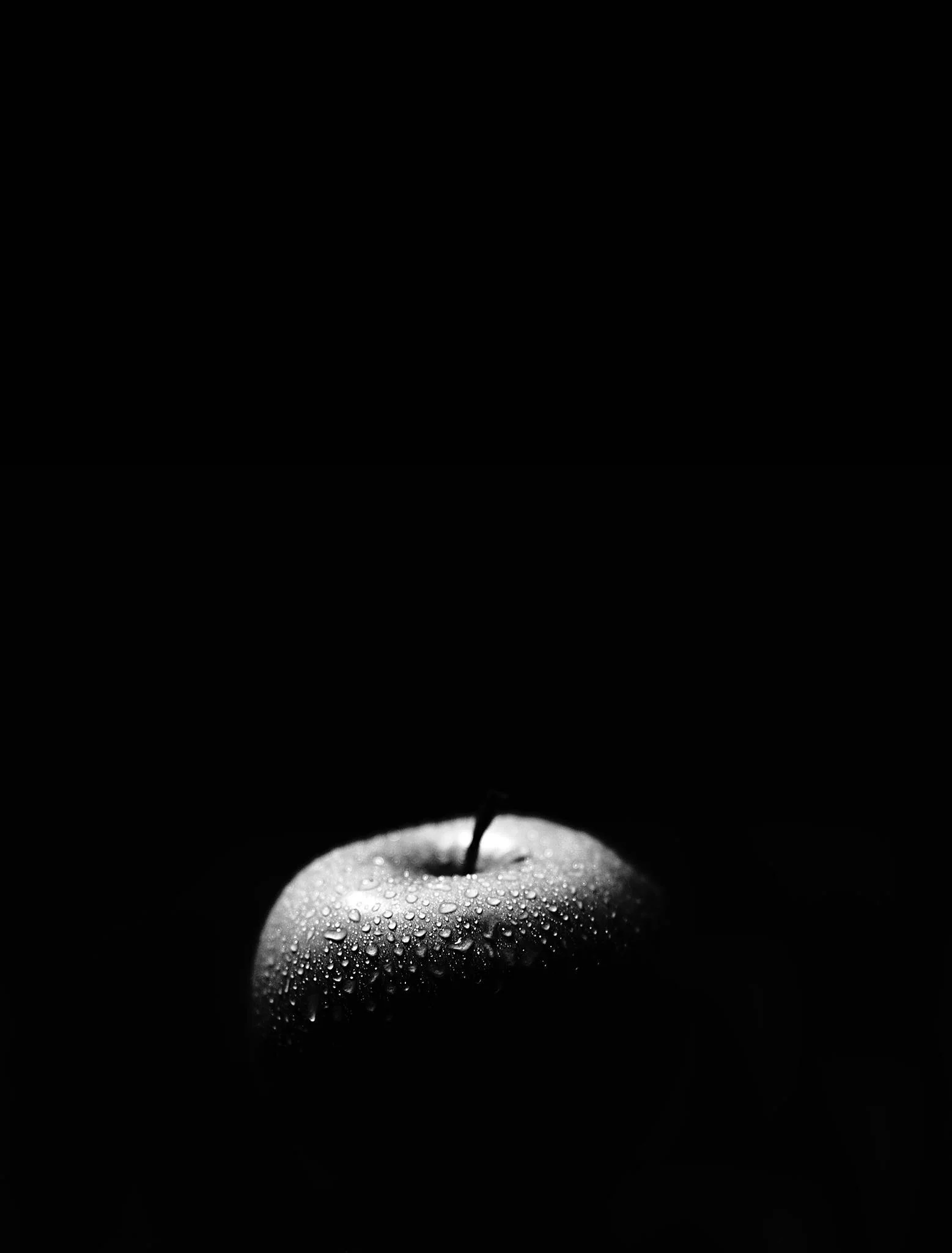 food photography