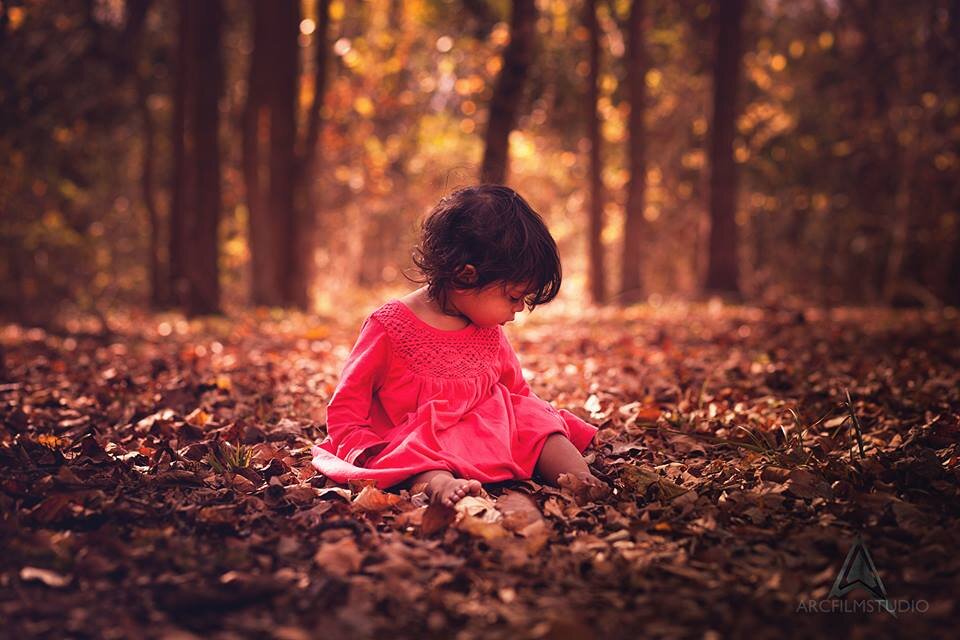 family photographer nc
