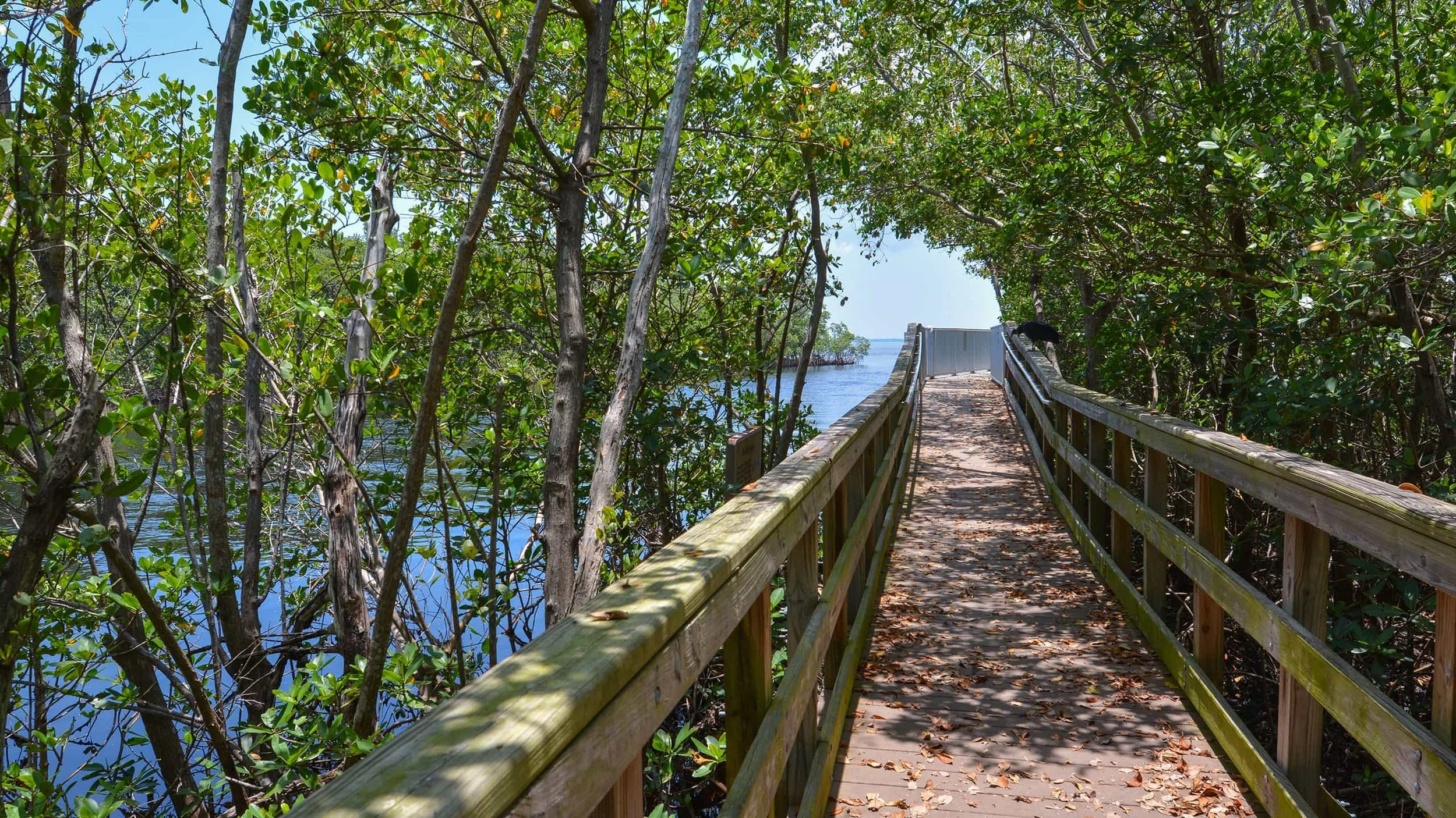 Charlotte Harbor Preserve State Park located in Punta Gorda near Creekside Mobile Home and RV Park