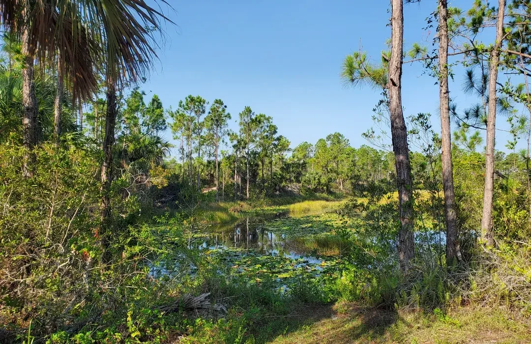 Charlotte Harbor Preserve State Park located in Punta Gorda near Creekside Mobile Home and RV Park