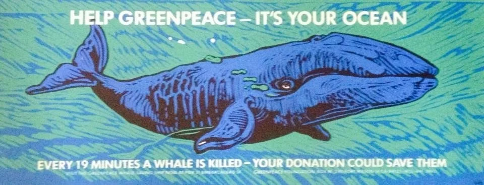 Greenpeace poster designed by David Wills that was placed on the side, on the rear, and on the inside of the San Francisco Muni buses in the 1970's.