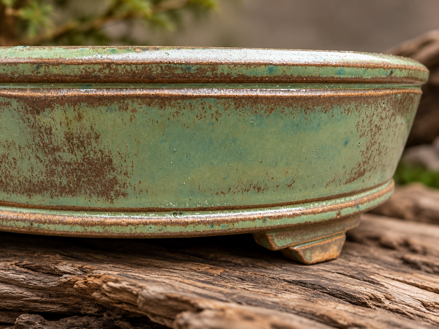 Angled rim detail on oval bonsai pot from the Seasons Restrained collection by Ian Jobling Ceramics, The Pot Maker's Place.