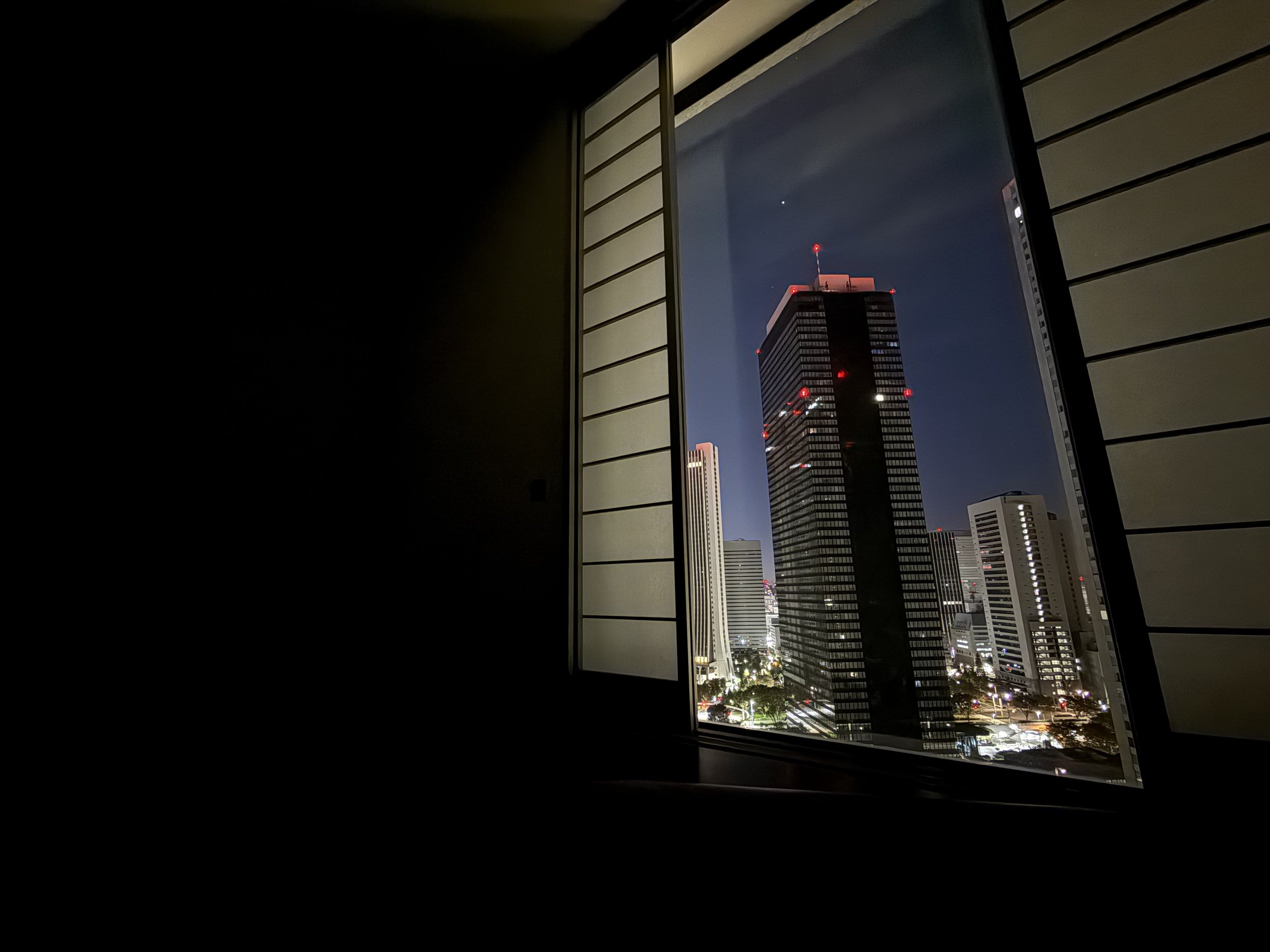 An image of the Tokyo skyline at night.
