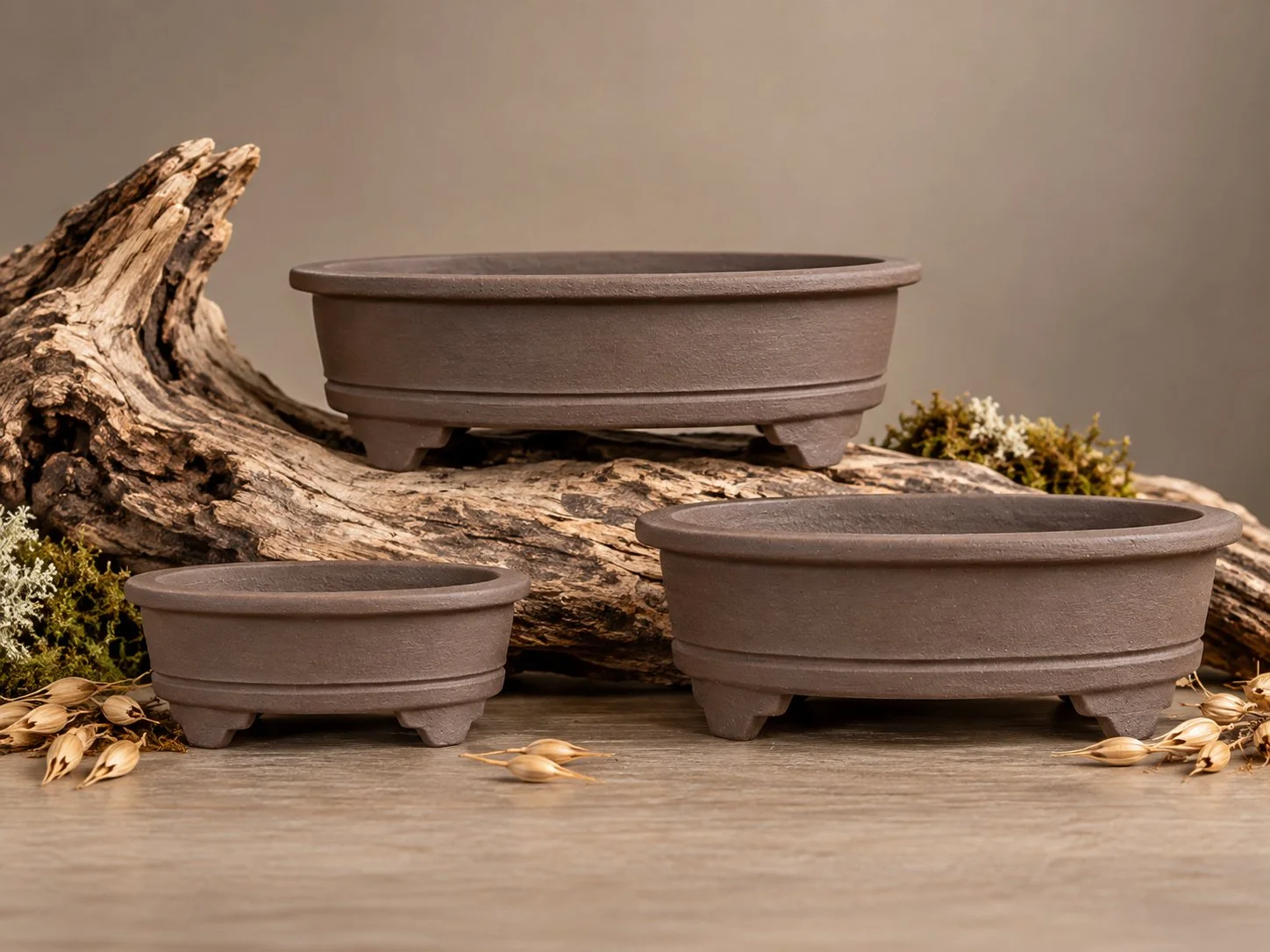 Three handcrafted oval bonsai pots in Sea Kelp, featuring the Wide Crown design, by Ian Jobling Ceramics.