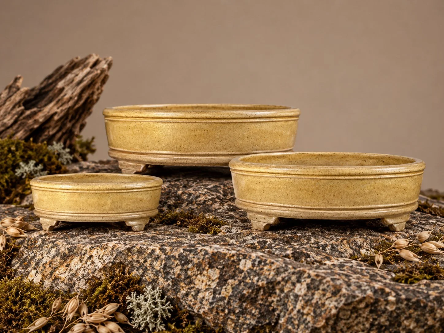 Three handcrafted oval bonsai pots in Barley Husk, featuring the Angled Crown design, by Ian Jobling Ceramics.