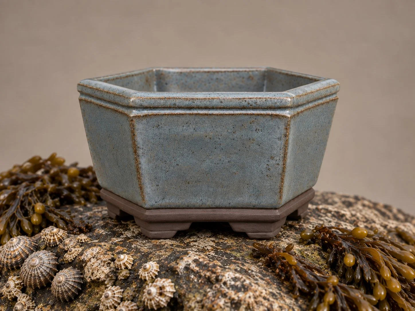 Handcrafted hexagonal Quince/Crab Apple/Fruiting bonsai pot in Sea Foam, featuring the Angled Crown design, by Ian Jobling Ceramics.