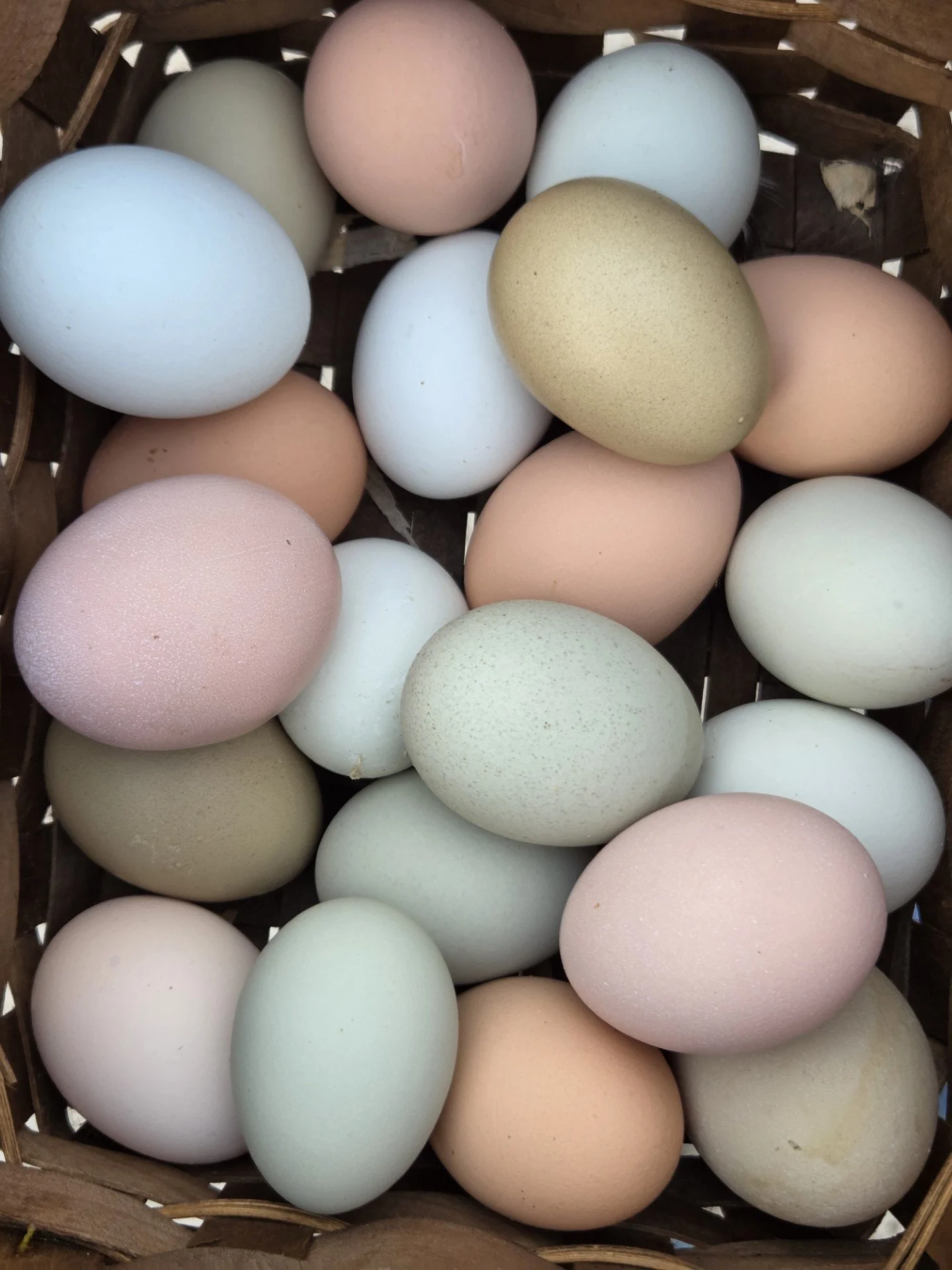 Farm Fresh Eggs – 18 Count