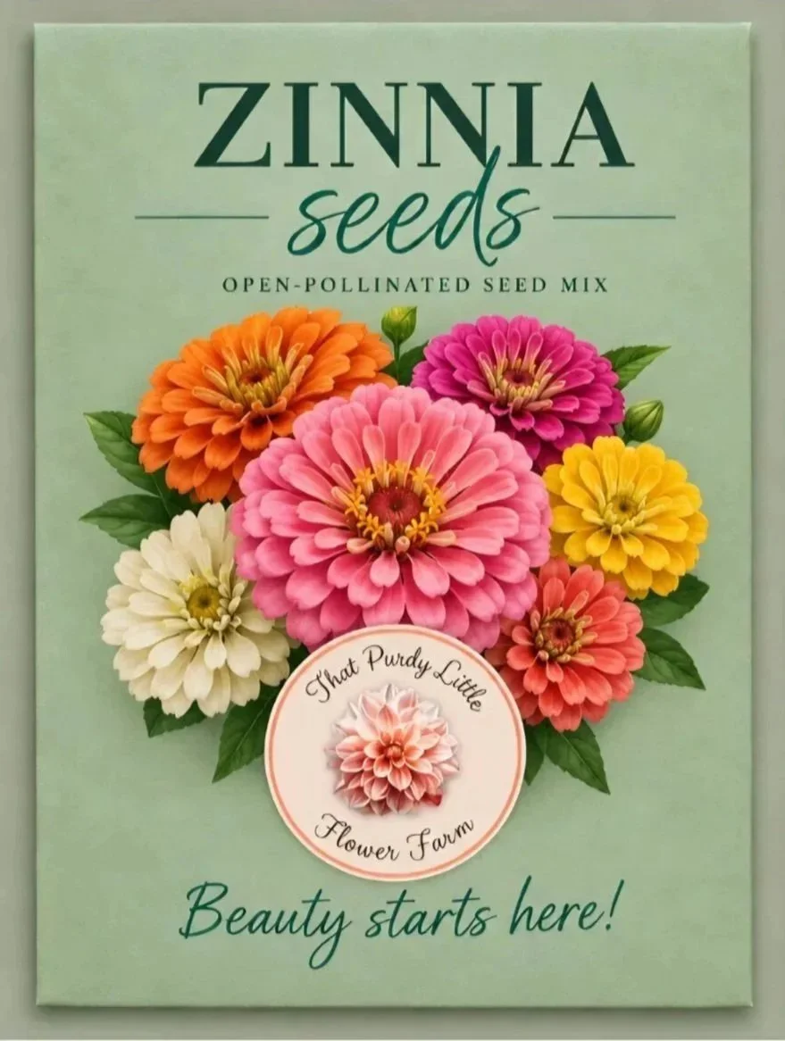 Zinnia%252BSeed%252Bpacket%252Bdraft.jpg