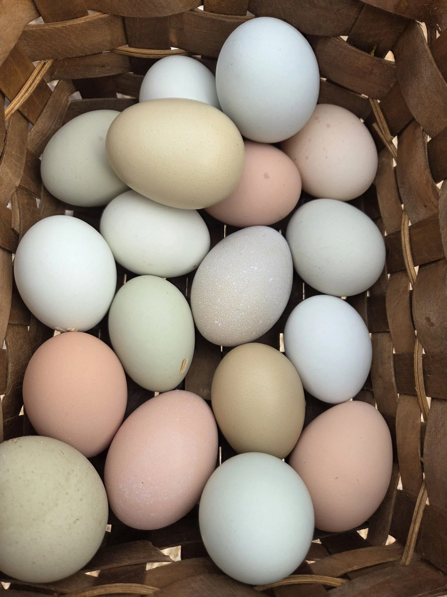 Farm Fresh Eggs – Dozen