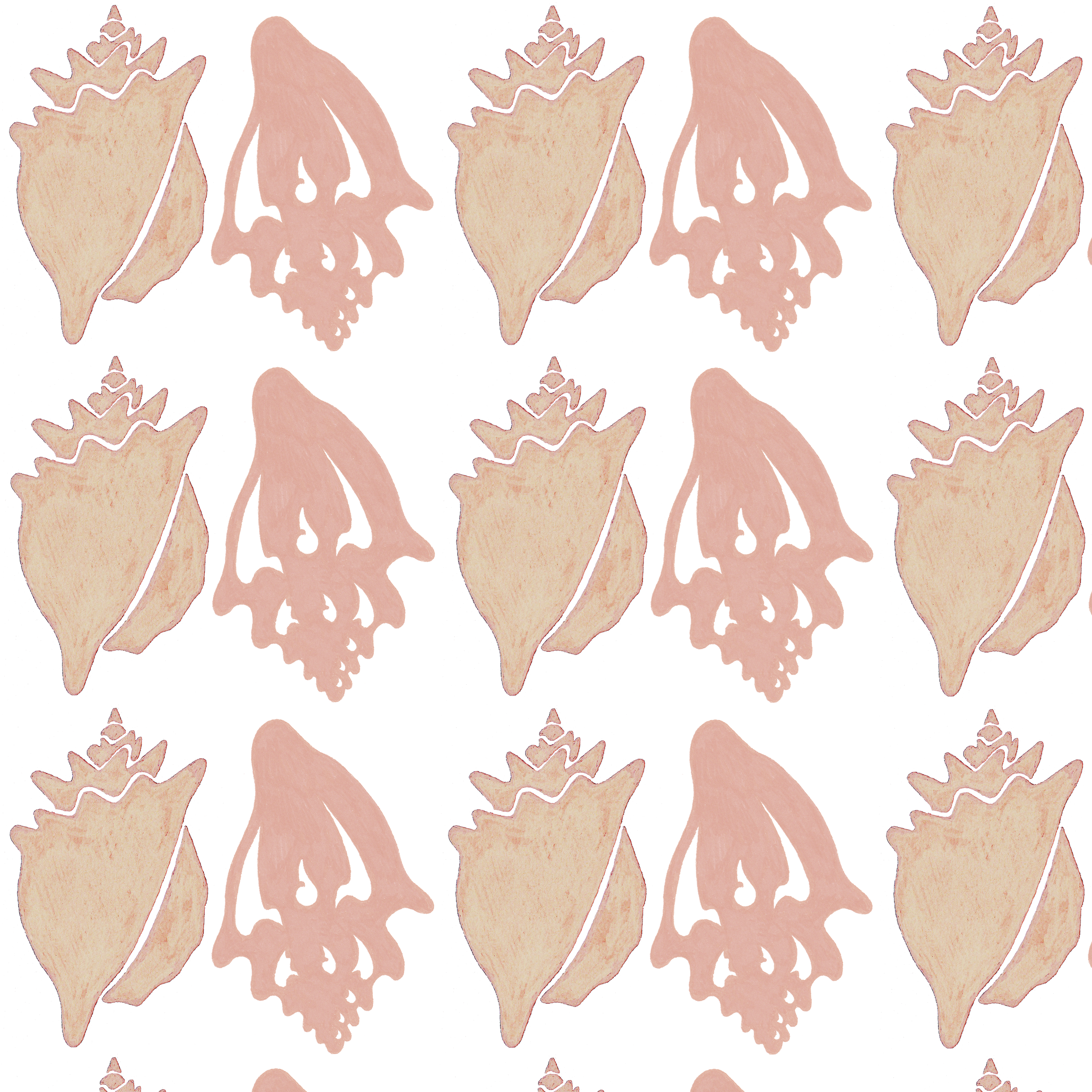 Conches shell HS.png