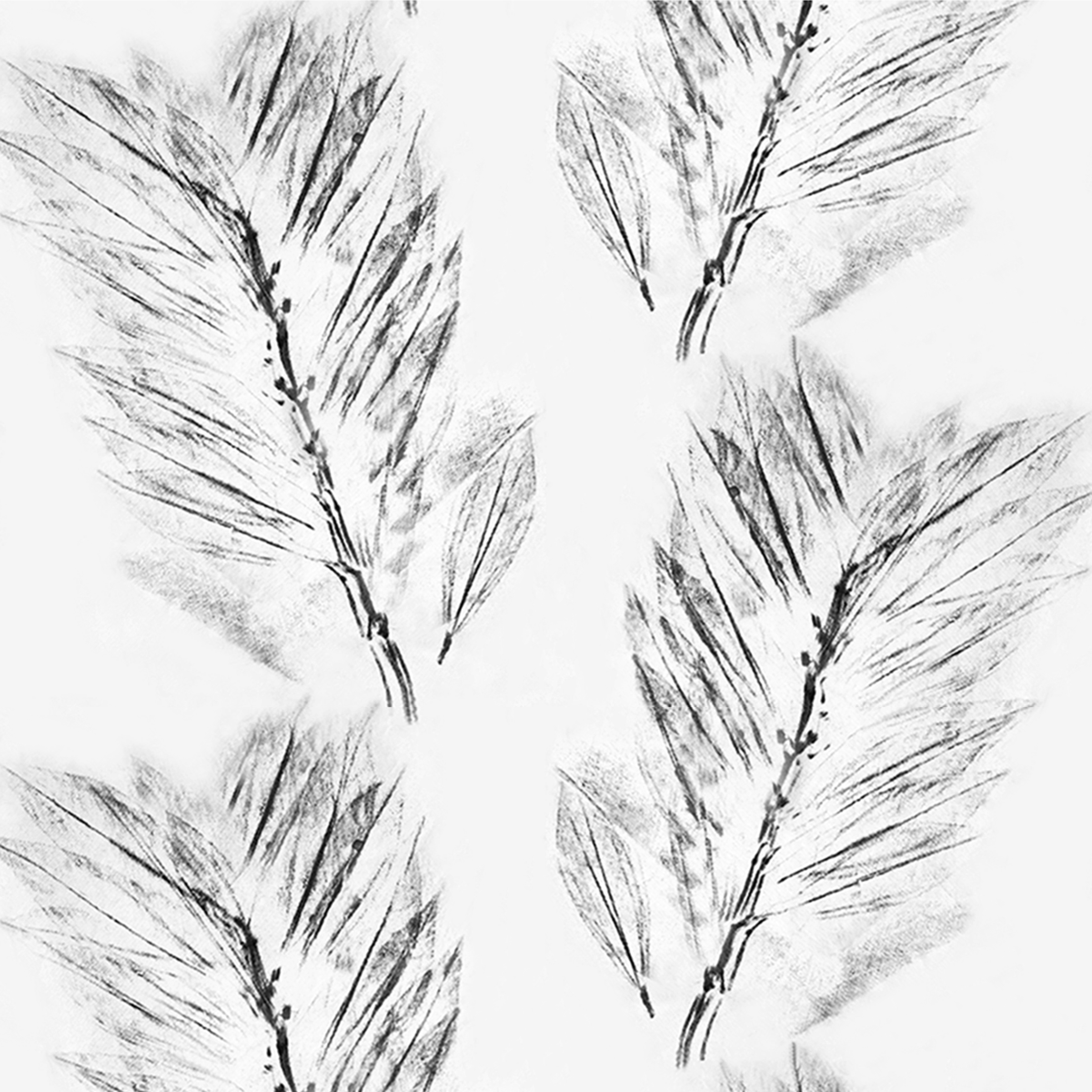 Feather leaves BW 8.29 memo.png
