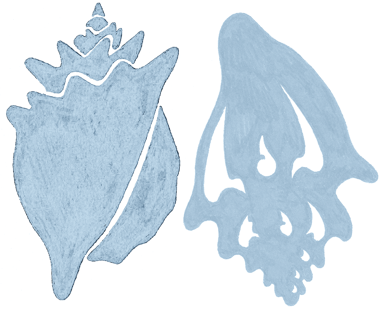 Conchs blue WP 5.2.png
