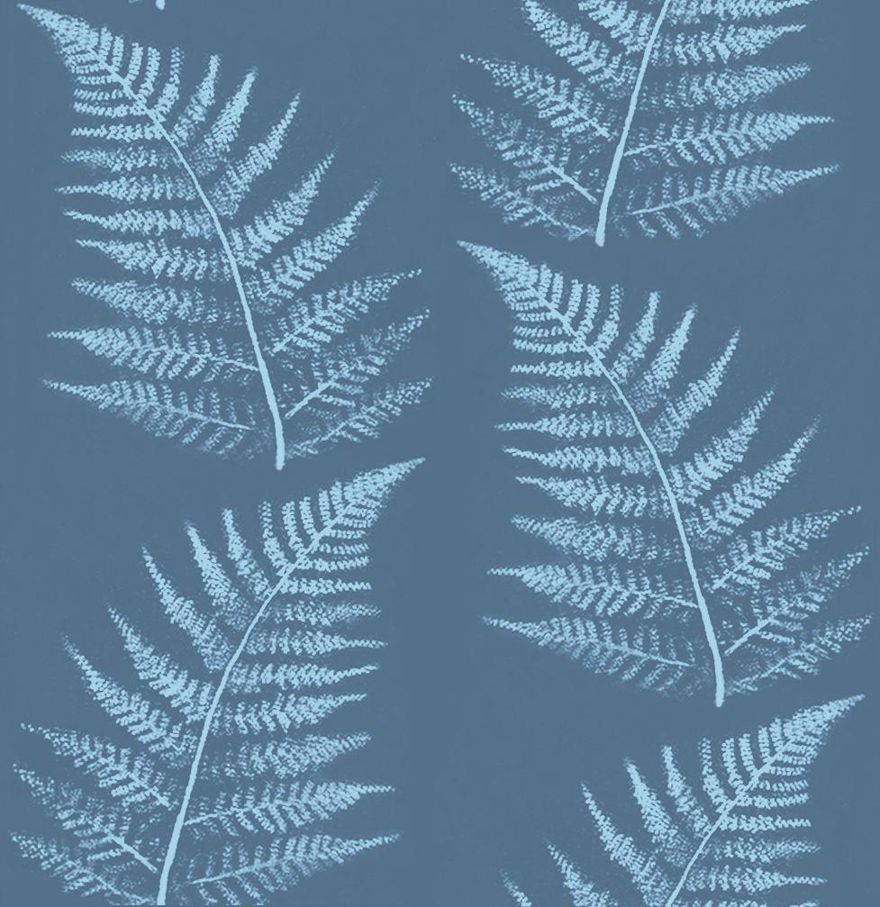Fern in dusk blue-6.5.png