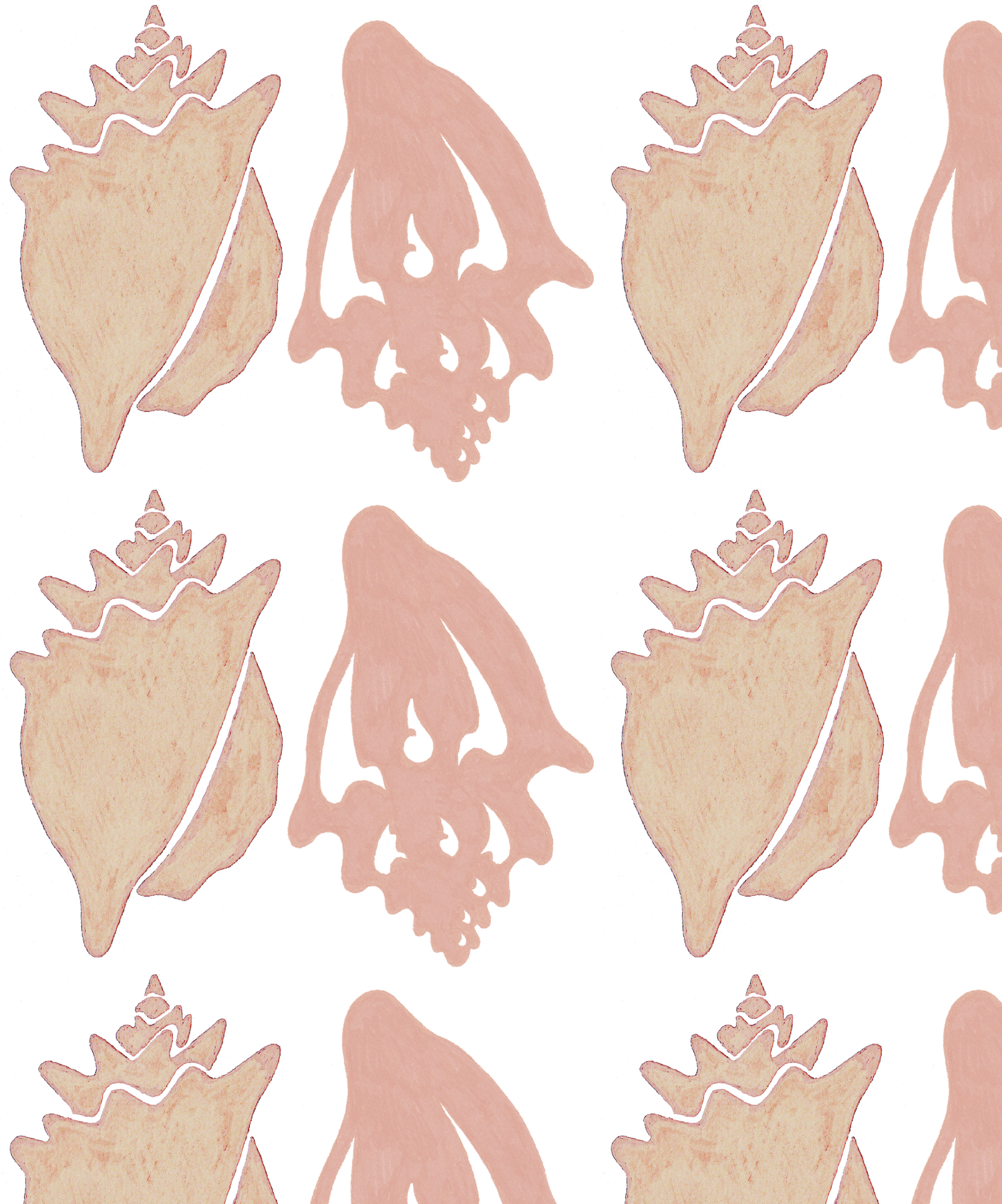 Conchs in shell(1).png