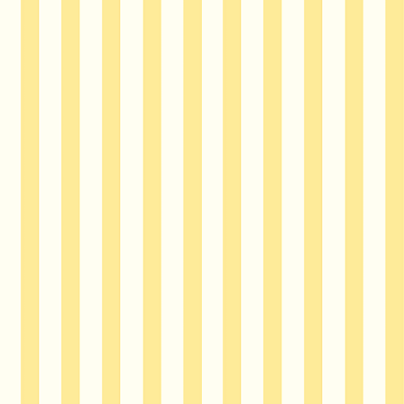 Narrow Stripe (7 Colors)