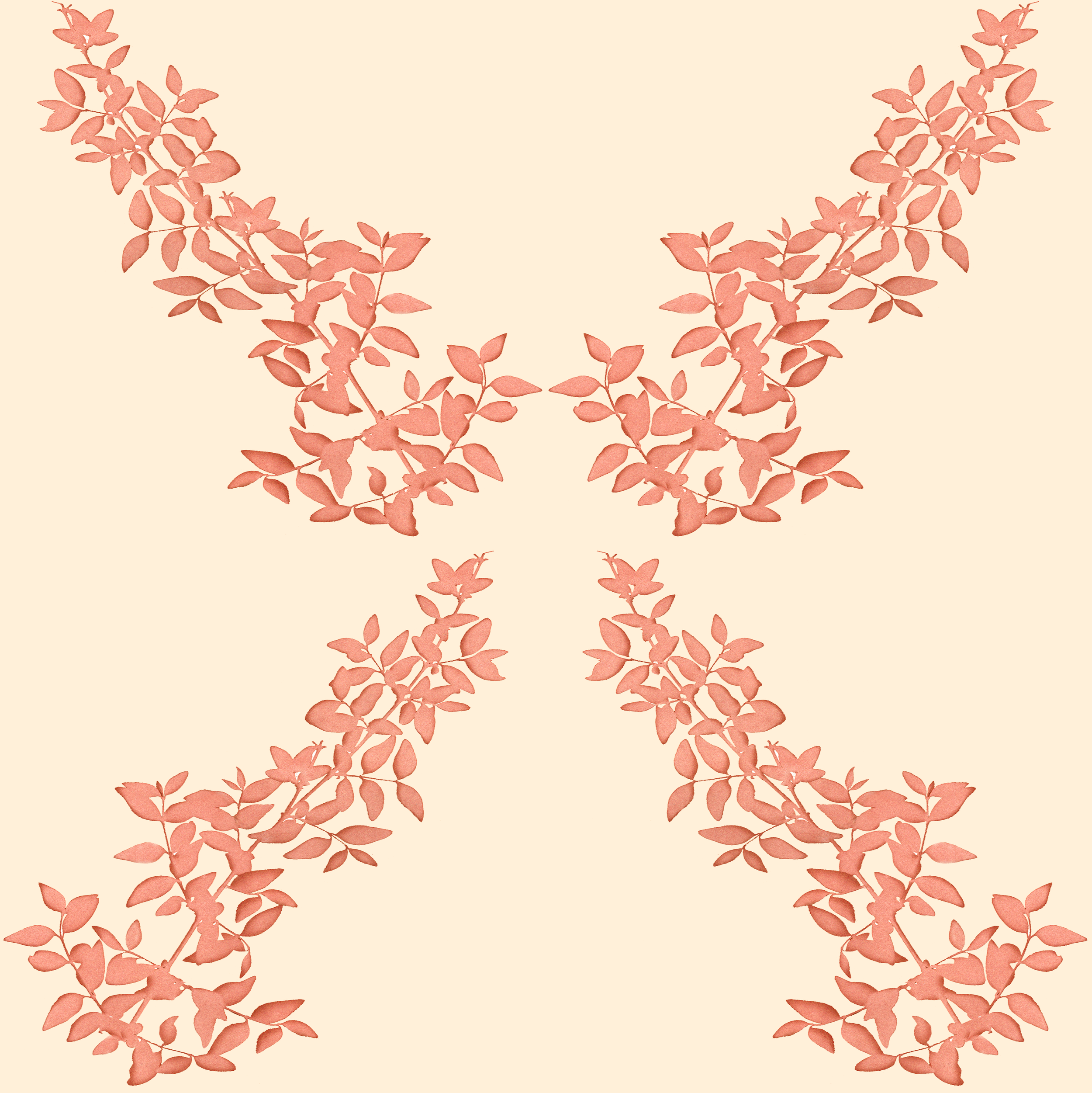 Amelia rust test.png
